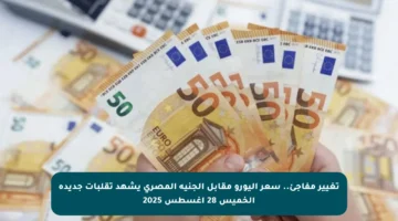 تغيير مفاجئ.. سعر اليورو مقابل الجنيه المصري يشهد تقلبات جديدة الخميس 28 أغسطس 2025